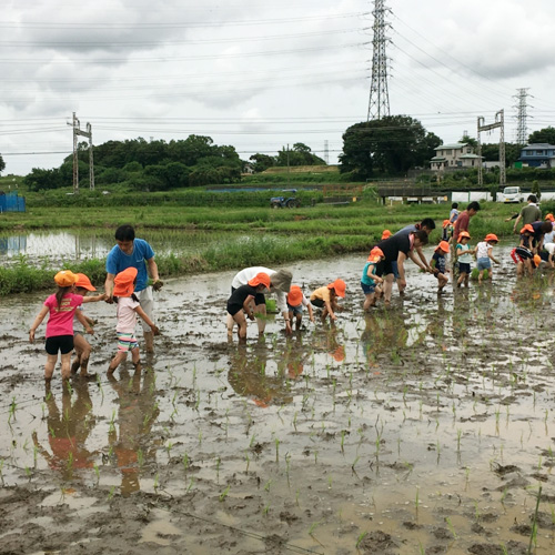 神奈川県 有機農家 べじたろう農場について