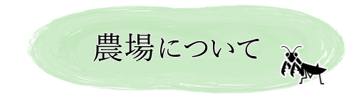 べじたろう農場の有機農法について