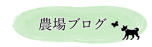 べじたろう農場ブログ