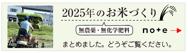 2025年の米づくり 有機農家 べじたろう農場